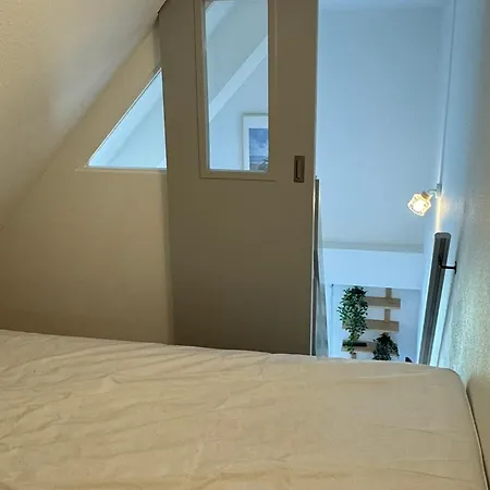 Renove 2 Pieces, Face Mer, - Fr-1-487-369 *